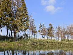 -上海山野camping·户外天幕烧烤·团建拓展营地