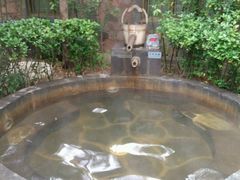-西安国际创新人才交流中心•药浴温泉