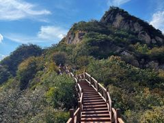 -大岭沟猕猴桃谷风景区
