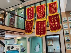 -半岛宠物医院24小时·内窥镜·牙科·碎石中心(府城大道店)