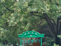 -玲珑塔公园