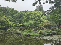 -杭州植物园
