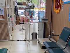 -米苏动物医院·犬猫专科·骨科外科内窥镜