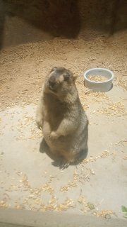 -酷嗒动物文化乐园(cutezoo西溪乐天城店)