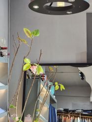 -ChenV西服礼服高级定制(市区养育巷店)