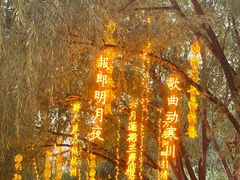 -万泉公园