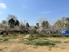 -国际非物质文化遗产博览园