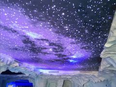-上海海昌海洋公园-冰山北极馆