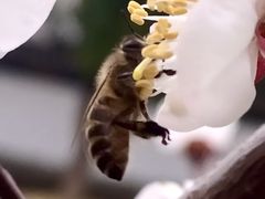 -苏州大学附属第二医院(三香院区)