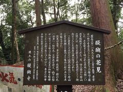 -醍醐寺