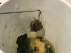 -辛巴宠物医疗中心·骨科·内分泌专科·心肾专科(亭林公园店)