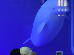 -大连圣亚海洋世界