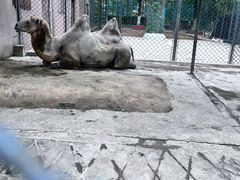 -荆州中山公园动物园