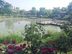 -鹅湖玫瑰文化园