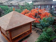 -老山东·山东菜(鲁菜名店)