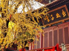 -宝通禅寺