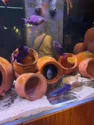 -Zoolung Zoolung动物主题公园(海信广场店)