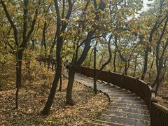 -燕窝岭