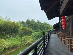 -大唐贡茶院