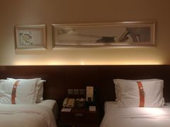 -上海浦东康桥绿地假日酒店