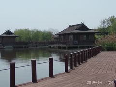-杭州湾海上花田景区