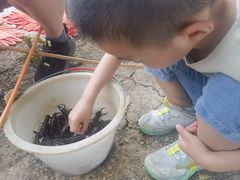 -同銮特种养殖场·龙虾垂钓