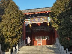 -青岛方特梦幻王国