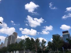 -沈阳站