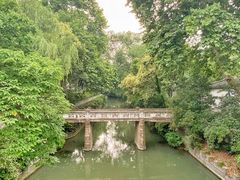 -正宗忘不了老鹅(梅岭店)