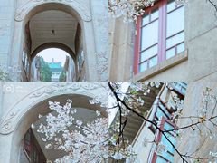 -武汉大学-樱园