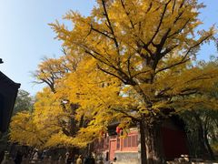 -晋祠公园