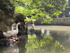 -兰亭风景区