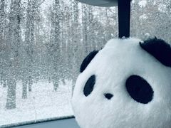 -长春净月潭风景名胜区