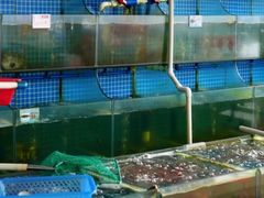 -叶姐海鲜(棋子湾店)