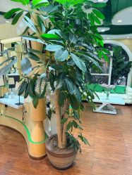 -艺米阳光Hair Salon