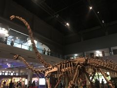 -自贡恐龙博物馆