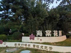 -元大都城垣遗址公园