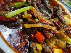鳝鱼-程记私房火锅兔(总店)