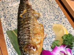 -一本料理(西溪天街店)