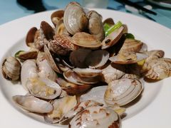 姜葱炒花蛤-高佳庄·舟山海鲜(海景旗舰店)