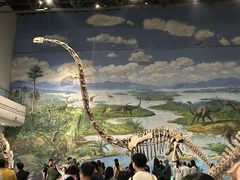 -自贡恐龙博物馆