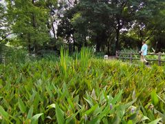 -成都市活水公园