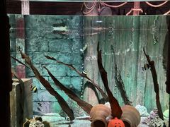 -沈阳海洋探索中心