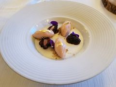 -迪拜帆船酒店海底餐厅