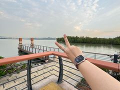 -深圳湾公园(南山区)