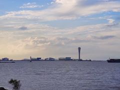 -上海滨江森林公园
