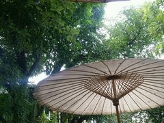 景观位-Fern Forest Cafe