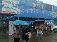 -洛阳龙门海洋馆