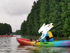 -上海海湾国家森林公园