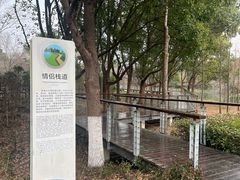 -昆山城市生态森林公园